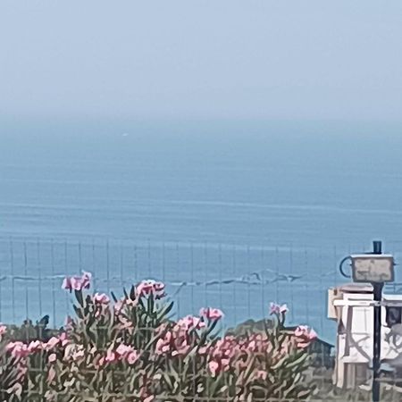 Casa Vacanze Abbacari 레알몬테 외부 사진