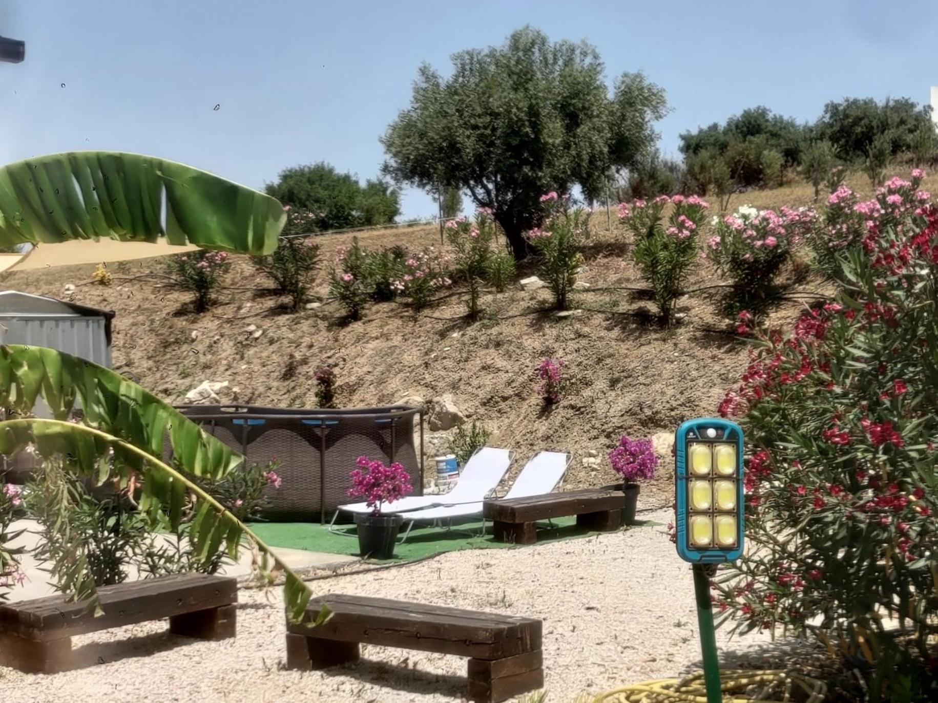 Casa Vacanze Abbacari 레알몬테 외부 사진