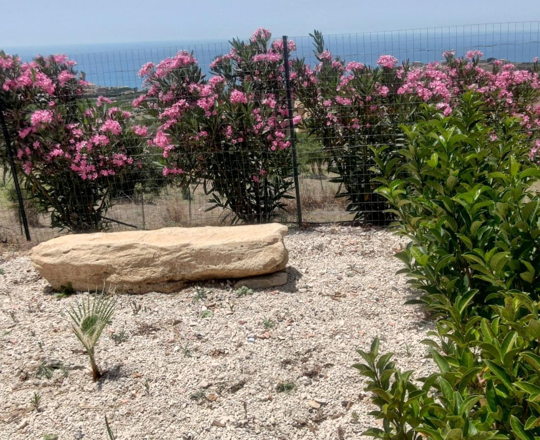 Casa Vacanze Abbacari 레알몬테 외부 사진