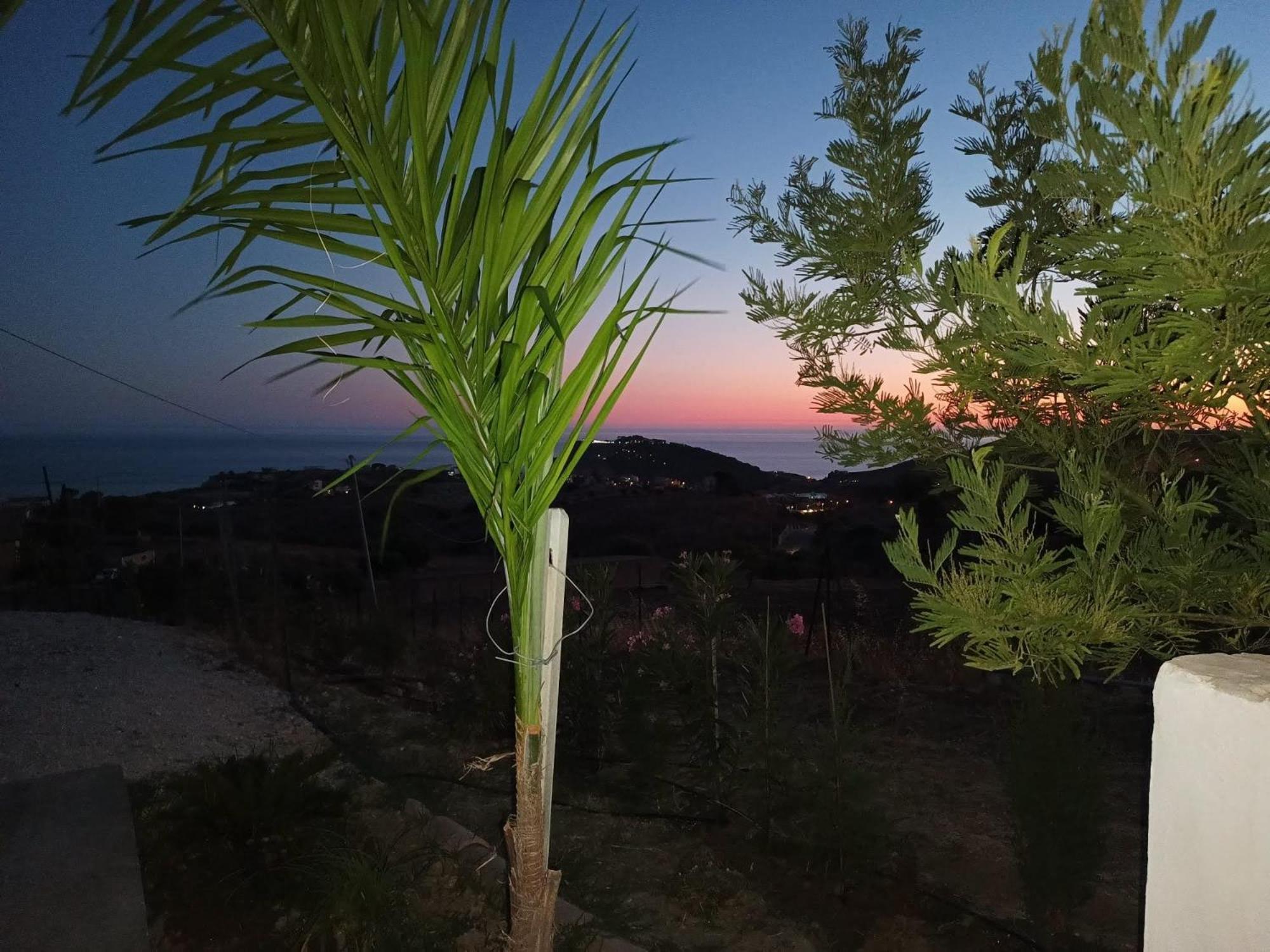 Casa Vacanze Abbacari 레알몬테 객실 사진